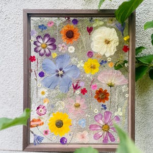 Könnte beinhalten: Ein gerahmtes Blumenarrangement mit einer Vielzahl gepresster Blumen in Lila, Gelb, Orange, Rosa und Blau. Die Blumen sind auf einem strukturierten Hintergrund angeordnet und in einem Holzrahmen eingefasst.