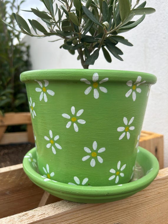 Hand painted flower pots