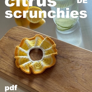 Scrunchie Häkelanleitung PDF | Citrus Scrunchie häkeln | Haarband im Citrus Design | Fortgeschritten | Digitaler Download (Deutsch)