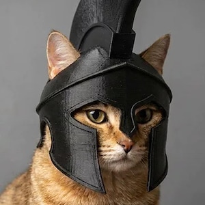 猫のヘルメット - Etsy 日本