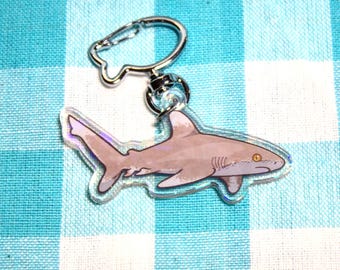 Chaveiro de tubarão-de-pontas-brancas-oceânico