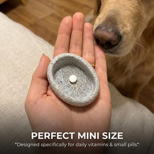 Puede incluir: Un peque&ntilde;o pastillero ovalado de piedra gris con una sola pastilla blanca en su interior. El texto "PERFECT MINI SIZE" y "Designed specifically for daily vitamins & small pills*" est&aacute;n en la parte inferior de la imagen.