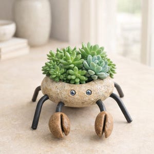 May include: A crab-shaped succulent planter. The planter is made of a light brown stone with black metal legs and claws. The eyes are small blue gems. The planter is filled with various green succulents.