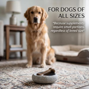 Puede incluir: Un golden retriever est&aacute; sentado cerca de un cuenco de piedra que contiene un premio para perros con forma de hueso. El texto dice "FOR DOGS OF ALL SIZES" y "Because supplements require small portions, regardless of breed size."