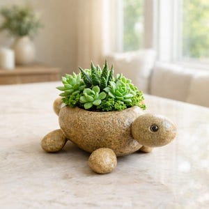 May include: A turtle-shaped planter made of stone, filled with various green succulents. The planter has a textured, speckled surface with rounded legs and a head. The succulents are a vibrant green, creating a natural, decorative accent.