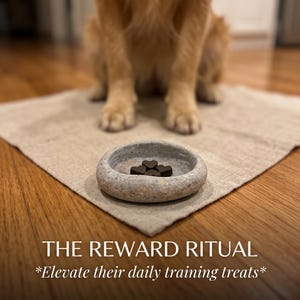 Puede incluir: Un cuenco de piedra lleno de golosinas para perros en forma de coraz&oacute;n descansa sobre una esterilla beige. El texto "THE REWARD RITUAL" y "*Elevate their daily training treats*" se muestran debajo. Un golden retriever est&aacute; en el fondo.