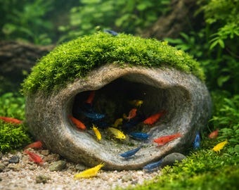 Garnelenhöhle Versteck, Naturstein Garnelenunterschlupf, Neocaridina Caridina Versteck, Aquarium Garnelenhöhle, Zuchtversteckdekor