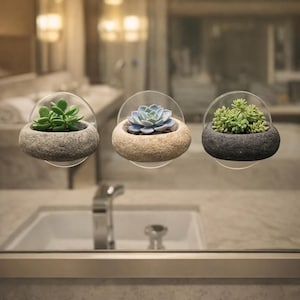 May include: Three small, round stone planters with succulents attached to a clear, circular suction cup. The planters are filled with green and blue-green succulents. The planters are mounted on a mirror above a bathroom sink.