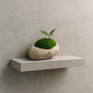 May include: A small, natural stone planter with a vibrant green moss base and a delicate fern. The stone planter sits on a light gray shelf against a matching wall, creating a minimalist, zen-like aesthetic.