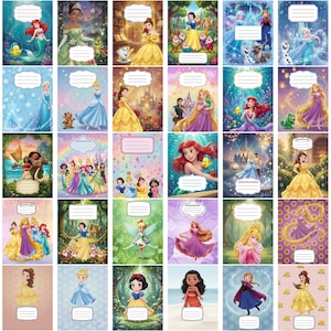 May include: A collection of thirty rectangular composition notebooks featuring various Disney characters including Ariel, Belle, Snow White, Elsa, Anna, Rapunzel, Moana, and Tinker Bell. Each notebook cover displays a unique character illustration and a white label.