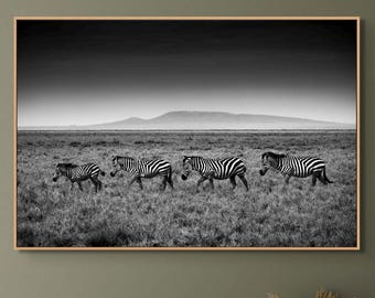 African Wildlife Photography Zebra Fine Art Black White Savanna Print Wall Decor Home Office Space Safari Theme Bedroom Wall Home Decoration