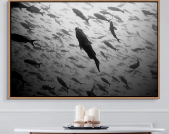 Underwater Fish Photograph Black White Wall Art for Home Decor Coastal Wall Print Marine Life Under Sea Picture Frame Bathroom Decor Beach