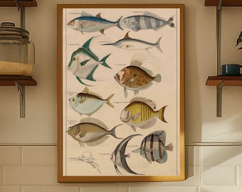 Vintage vissenprint | Antieke mariene biologie illustratie | Donker Academia-kustdecor