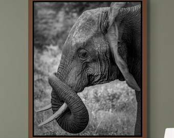 Elephant Wildlife Art Print Nursery Decor Kids Room Wall Art Black White Nature Photograph Safari Style African Design Home Decor Room Art