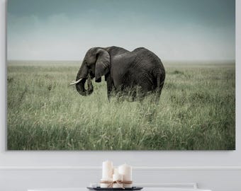 African Elephant Photograph Wall Art Nature Print Wildlife Collection Fine Art Photography Gallery Wall Home Decor Living Room Safari Theme
