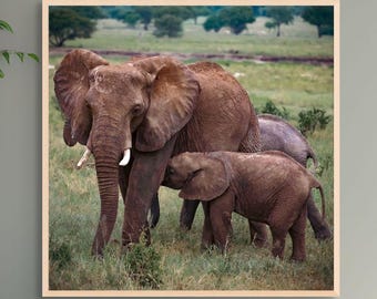 Elephant Photo Wall Art for Nursery Kids Room Home Decor Digital Download Wildlife Family Room Elephant Photo Fine Art Nature Color Square