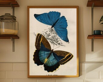 Antique Butterfly Artwork Wall Decor Nature Theme Botanical Print Blue Morpho Butterfly Illustration Vintage Style Wall Art Home Decoration