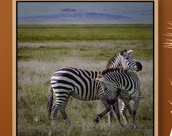 Zebra Wall Art Digital Download Safari Print African Wildlife Photo Animal Wall Decor Printable Nature Photography Nursery Wall Print Gift