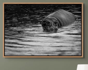 Hippo Fine Art Wall Decor Modern Bathroom Black White Photograph Print Nature Inspired Home Decoration Minimalist Style Safari Office Art