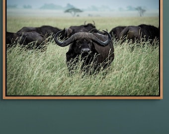 Safari Animal Photography Wall Decor For Office Decor Home Decor African Wildlife Room Decoration Living Space Gallery Wall Framed Picture