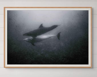Dolphin Underwater Photograph Marine Wildlife Art Print Living Room Wall Decor Beach House Interior Design Spiritual Space Fine Art Nature