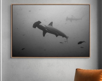 Underwater Shark Photography Coastal Home Decor Beach Home Ocean Art Marine Black White Photo Shark Art Office Nautical Decor Marine Life