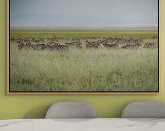 Zebra Wildlife Photograph Nature Wall Art Print African Savanna Landscape Image Color Modern Decor Safari Home Office Decoration Fine Art