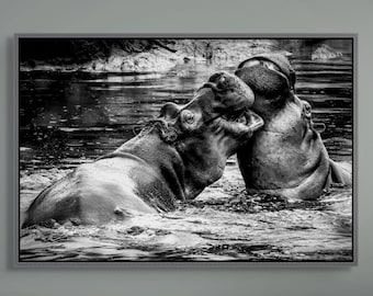 Wildlife Photography Print Wall Art Home Decor Safari Style African Design Nature Photograph Waterhole Scene Dramatic View Living Room Wall