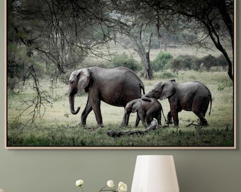Elephant Wall Art Print Safari Fine Art Photography Nature Scene African Wildlife Home Decor Living Room Wall Display Elephant Photo Art