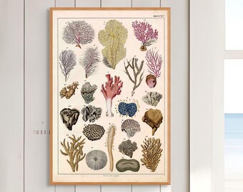 Vintage Coral Print | Antique Sea Life Illustration | Dark Academia Coastal Decor