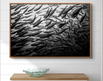 Underwater Fish Photography Black White Print Art Ocean Wall Beach House Decor Style Marine Life Photo Display Bathroom Decor Coastal Home