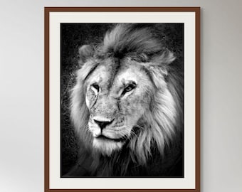 Lion Portrait Photograph Lion Wall Art Office Wall Decor Black White Wildlife Picture Wall Art Print Living Room Decoration Modern Safari