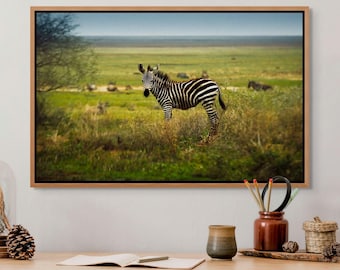 Zebra Wall Art Print Design Home Decor Living Room Accent Piece Safari Style Nature Photograph Black White Modern Art Office Decoration Art