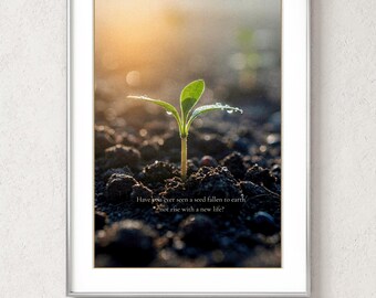 Lámina con cita de Rumi, arte botánico para pared, póster de poesía sobre la atención plena (descarga digital)