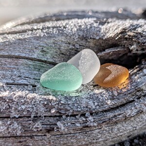 May include: Three smooth sea glass pieces in shades of green, white, and amber rest on weathered driftwood. The sea glass is frosted with tiny crystals, and the wood has a rough, textured surface. The image is a close-up shot, highlighting the natural beauty of the sea glass.