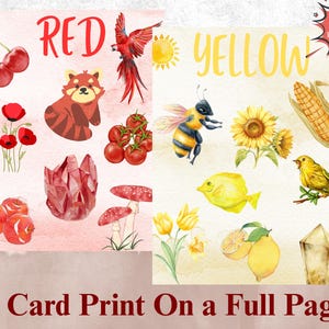 Nature Color Flashcards, Montessori Homeschool Printable (PDF) - Etsy