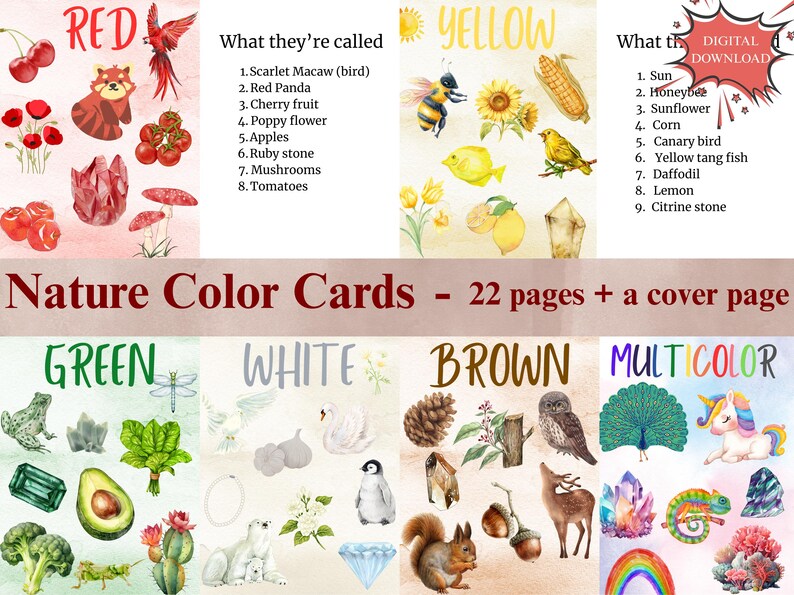 Nature Color Flashcards, Montessori Homeschool Printable (PDF) - Etsy