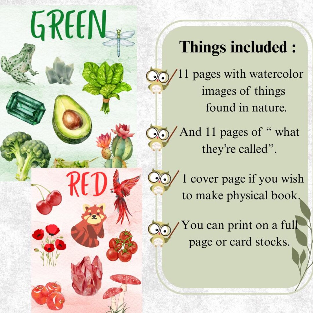 Nature Color Flashcards, Montessori Homeschool Printable (PDF) - Etsy