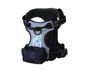 May include: A dog harness in gray and black with a small attached bag. The harness has a reflective strip and a metal D-ring. The text "BIG OLD PUP" is on a blue and white sticker on the front.