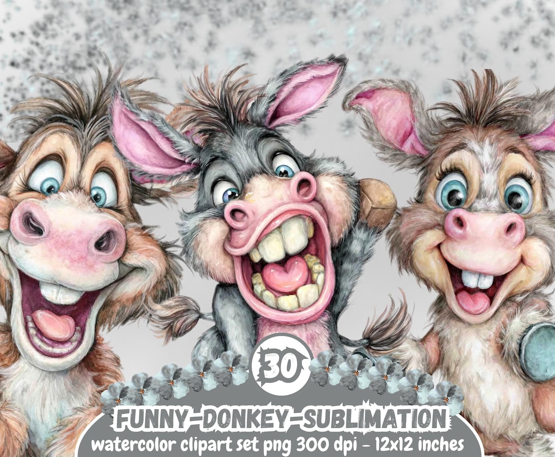 Funny Donkey PNG Quirky Donkey Clipart Humorous Donkey PNG Cute Animals ...