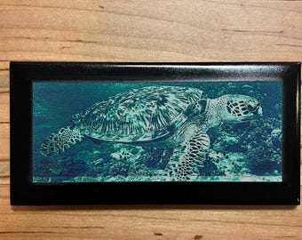 May include: A rectangular black framed art print featuring a detailed image of a sea turtle swimming underwater. The turtle has a patterned shell and is surrounded by a blue-green aquatic environment. The artwork is set against a wooden background.