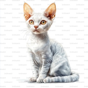 May include: A digital illustration of a Devon Rex cat. The cat has a white coat with subtle gray markings, large ears, and yellow eyes. It is sitting upright, facing forward, with its tail curled.