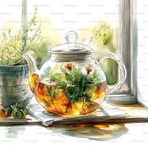 Può includere: Dipinto ad acquerello di una teiera di vetro trasparente piena di tè alle erbe e fiori. La teiera è appoggiata su un panno bianco su una superficie di legno, con una pianta in vaso e una finestra sullo sfondo. Il tè è di colore dorato.