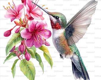 24 Kolibri Clipart, Garten Vogel mit Blume, Aquarell druckbare JPG, hohe Qualität 300 DPI, Scrapbook, Junk Journal
