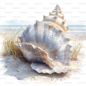 May include: Watercolor painting of two large seashells on a sandy beach with ocean and grass in the background. The shells are white and beige with water droplets. The image has the text "ImBlueArt" in the corners.