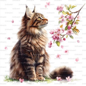 Könnte beinhalten: Eine Aquarellillustration einer Maine Coon Katze mit braunem und schwarzem Fell, die auf Gras sitzt. Die Katze blickt auf einen blühenden Zweig mit rosa Blüten und fallenden Blütenblättern. Der Hintergrund ist weiß mit dem Text "ImblusArt".