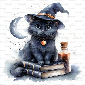 Könnte beinhalten: Aquarellillustration einer schwarzen Katze mit Hexenhut und Anhänger, die auf zwei Büchern sitzt. Ein Halbmond und eine Zaubertrankflasche sind ebenfalls abgebildet. Die Katze hat blaue Augen und ein flauschiges Aussehen, mit einem magischen Thema.