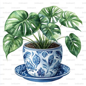 Puede incluir: Ilustración en acuarela de una planta de Monstera en maceta. La maceta es de cerámica azul y blanca con un diseño floral, colocada sobre un platillo a juego. Las hojas verdes son grandes y hendidas. Fondo blanco.