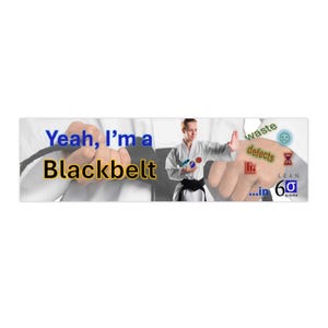 May include: A banner with the text "Yeah, I'm a Blackbelt" in blue and yellow. A person in a karate uniform is in the center, with the words "waste", "defects", and "Lean in 6 Sigma" on the right.