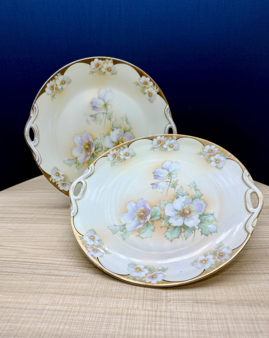 Austria HUB | Hand Painted Floral Design With Gold Trim Serving ...